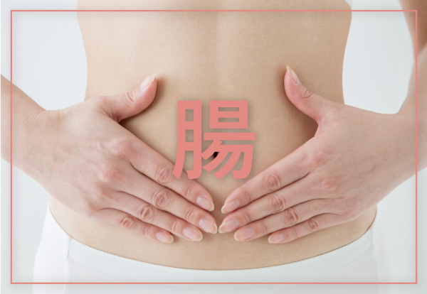 スクール 腸